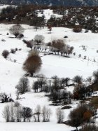 Kızılcahamam'da Köy